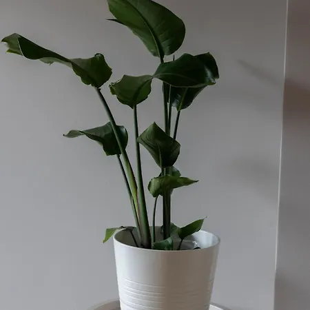 Naturidyll Im Gruenen Mit Vielen Sehenswuerdigkeiten Lägenhet *