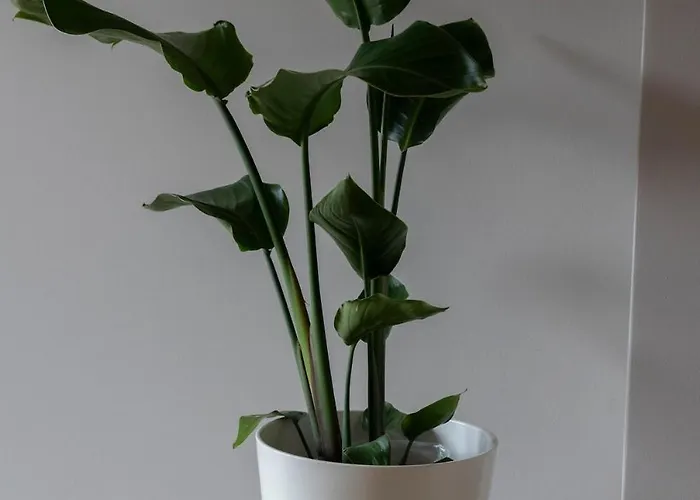 Naturidyll Im Gruenen Mit Vielen Sehenswuerdigkeiten Appartement *